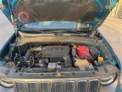 جيب رينيجيد